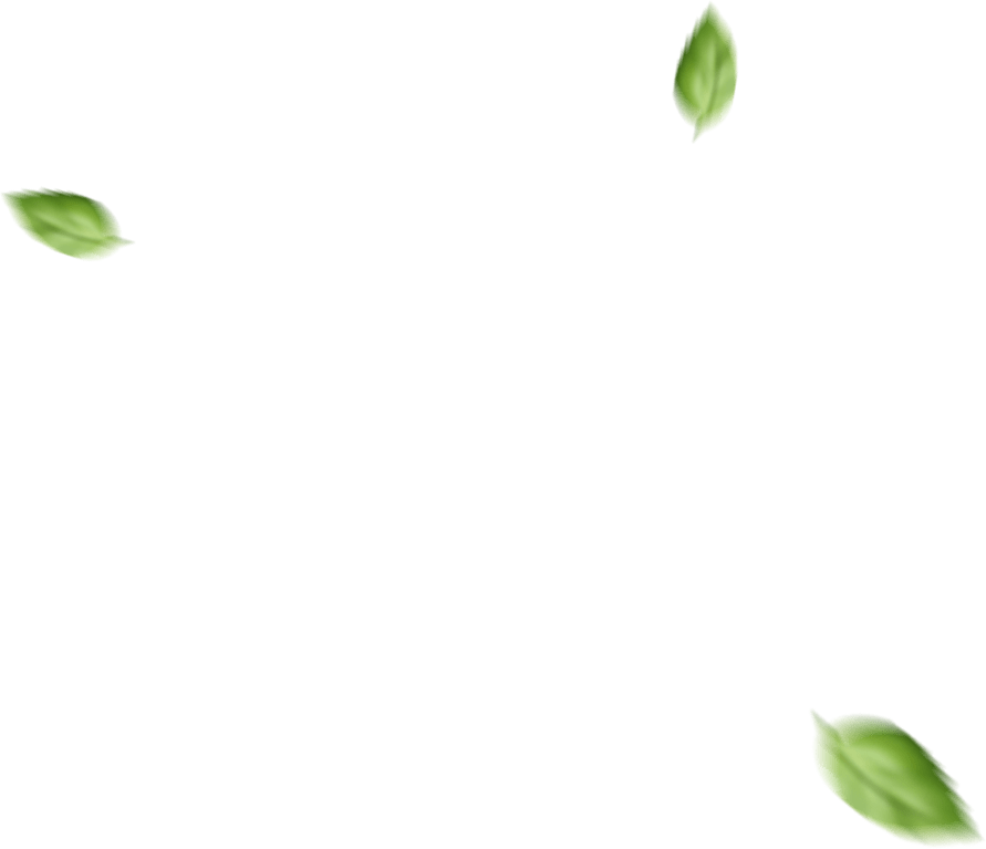 h2_basil